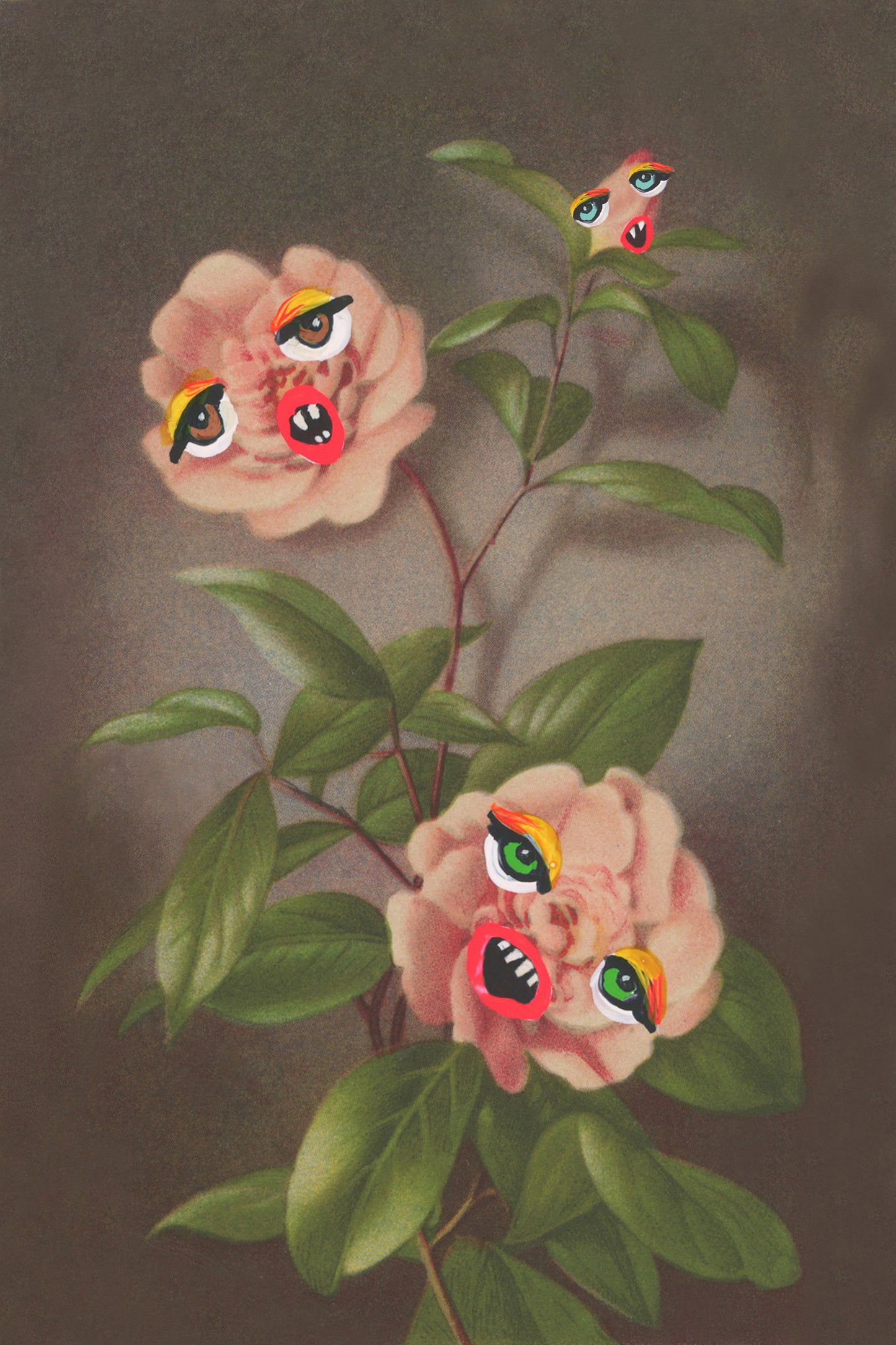 Chorus Camellia (7723862491385)