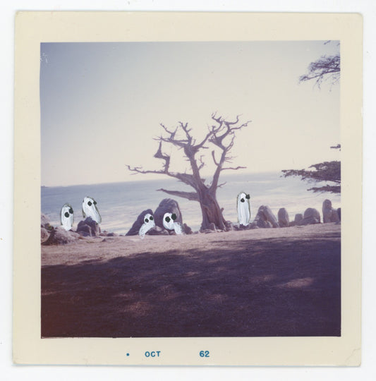 The Meeting Tree