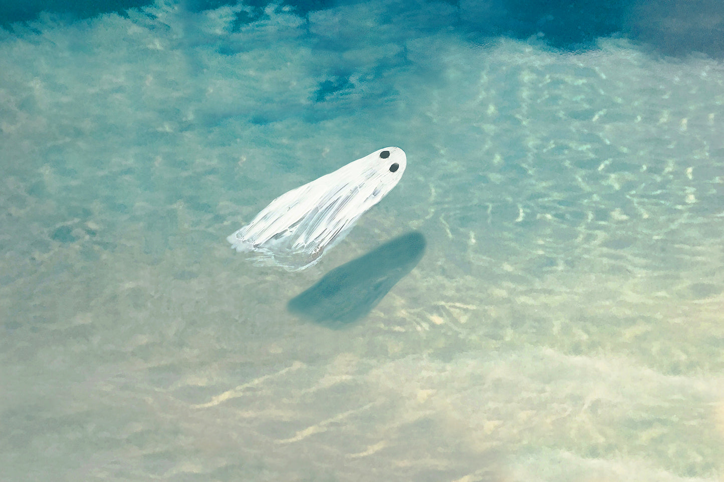 Float (6837364850847)
